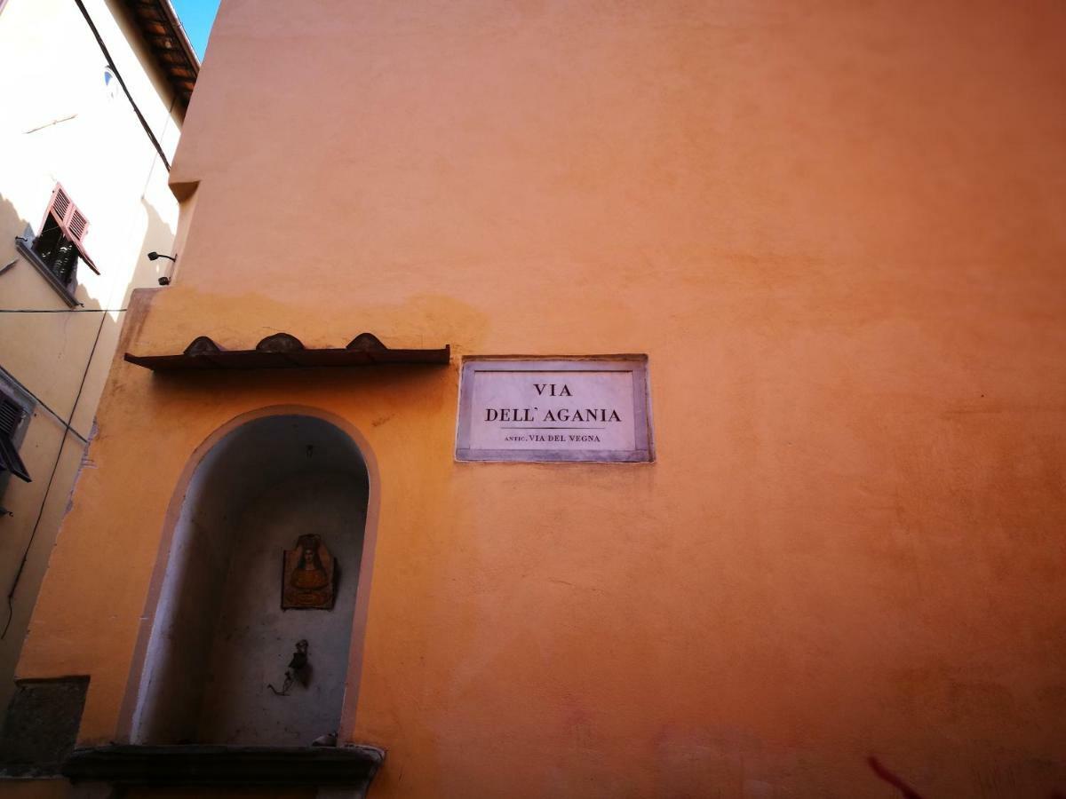 La Casina Dell'agania Apartment Arezzo
